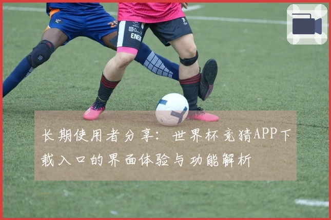 长期使用者分享：世界杯竞猜APP下载入口的界面体验与功能解析