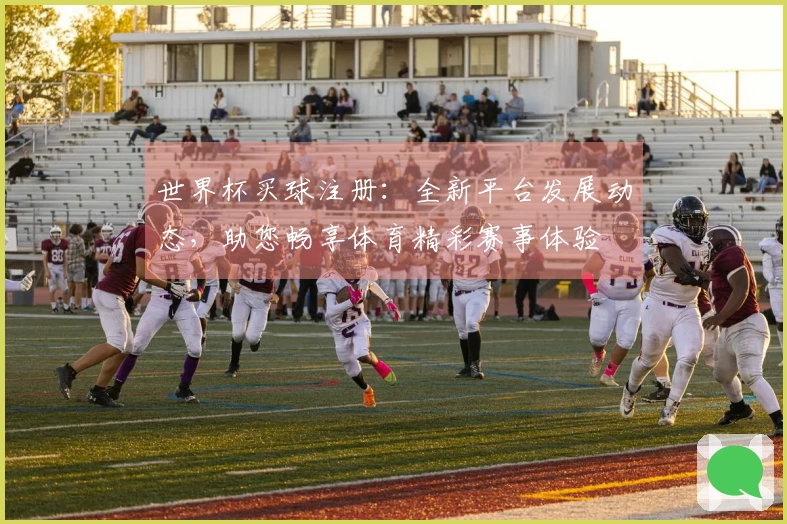 世界杯买球注册：全新平台发展动态，助您畅享体育精彩赛事体验